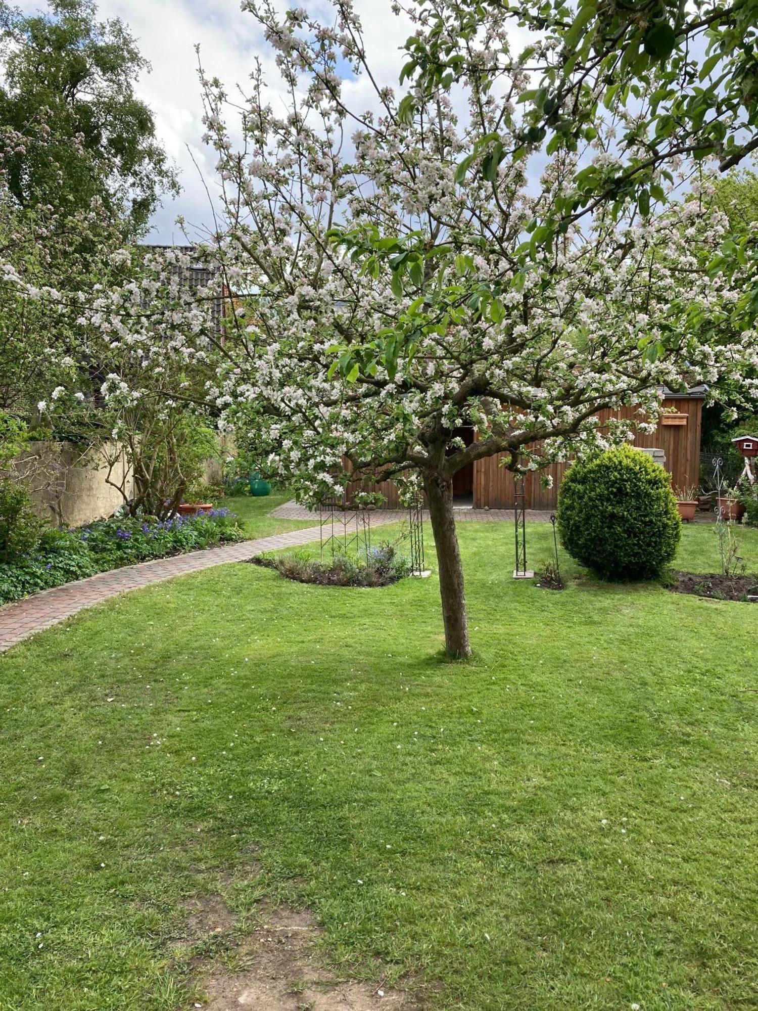 Charmante-Ferienwohnung-In-Der-Fjordstadt Flensbourg Extérieur photo